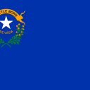 NV-04 House Election Winner
